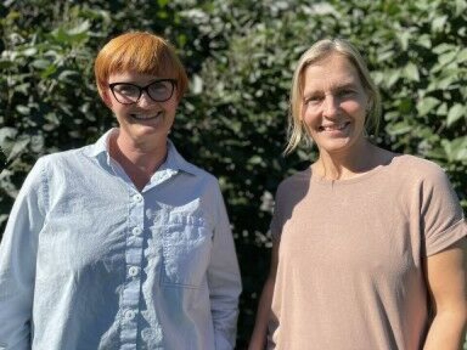 Seniorforskarane Agnes Brudvik Engeset og Kristin Løseth har sett på tolegrensene for cruisetrafikk.