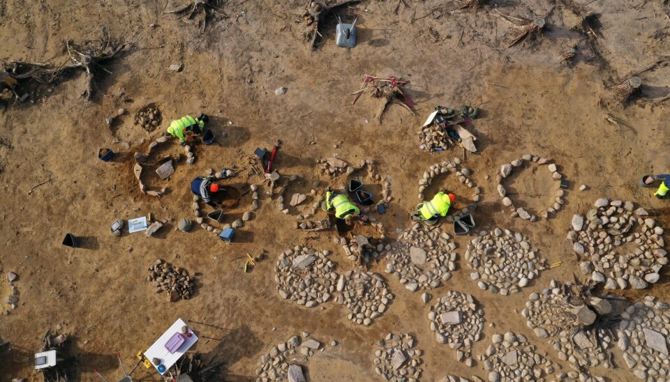 Oversiktsbilde av arkeologer som jobber på bakken. Steinsirkler på bakken markerer graver arkeologene undersøker.
