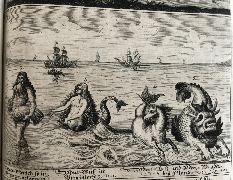 Bilde tatt av en side i reiseboken av Erasmus Franciscus. Det er en tegning i boka hvor man ser havet og bakgrunn flere skip. Foran ser man et menneske, en havfrue, en enhjørning og en form for sjømonster.