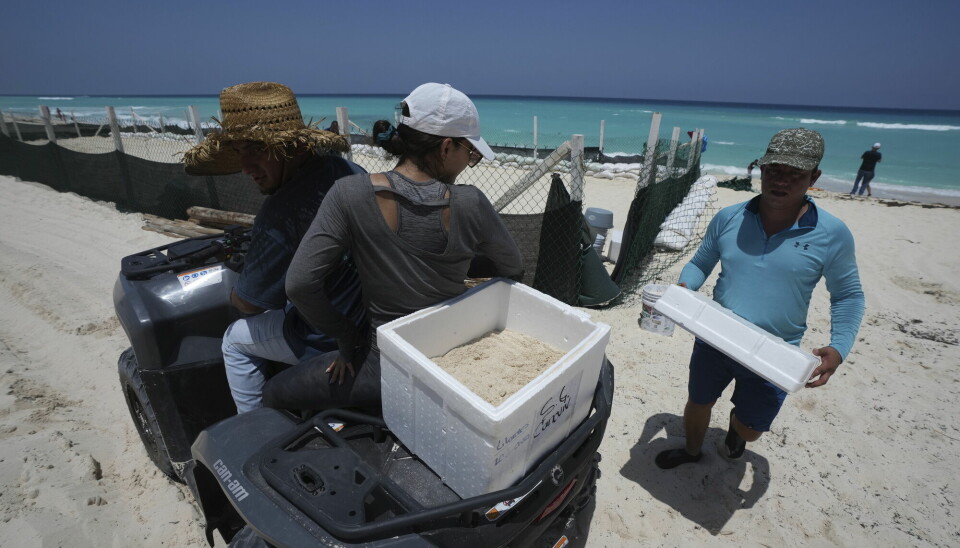Mann i turkis genser og caps er i ferd med å legge et hvitt isoporlokk på en kasse som står bakpå en firhjuling. I kassen ser vi sand. En mann sitter på firhjulingen. De er på stranden.