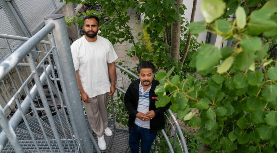 Hvorfor tyr noen muslimske menn til vold i religionens navn, mens det store flertallet ikke gjør det?
