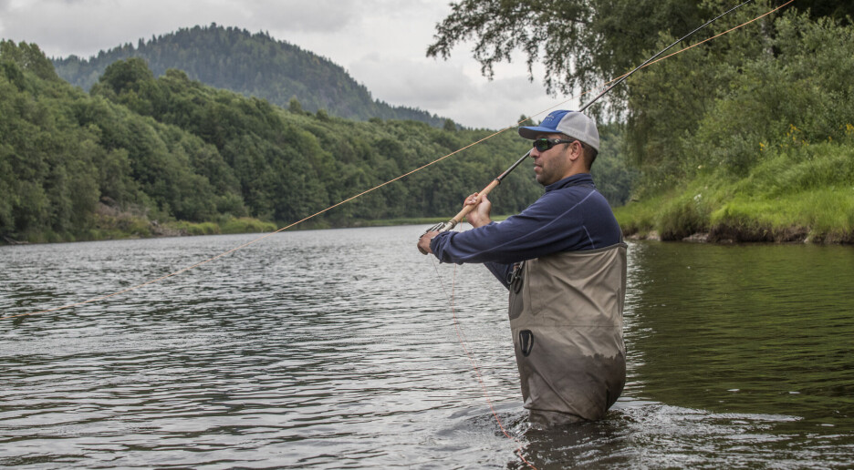 Fortsatt lite laks i elvene i Sør-Norge