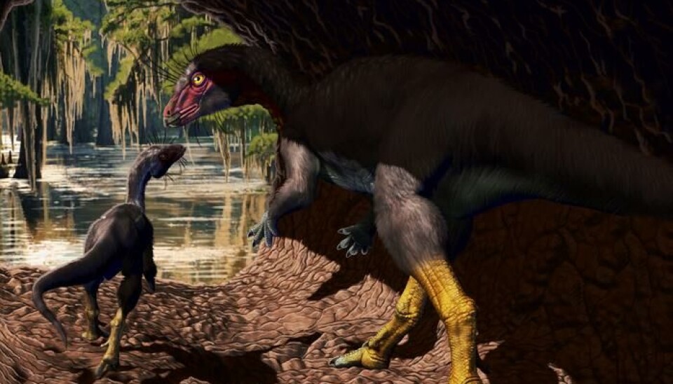 Å bo under bakken kan ha vært lurt for noen dinosaurer. Illustrasjonsbilde av dinosauren Fona herzogae. En voksen dinosaur er på vei ut av en hule sammen med en mindre dinosaur av samme art. Ut av hulen ser du vann og trær.