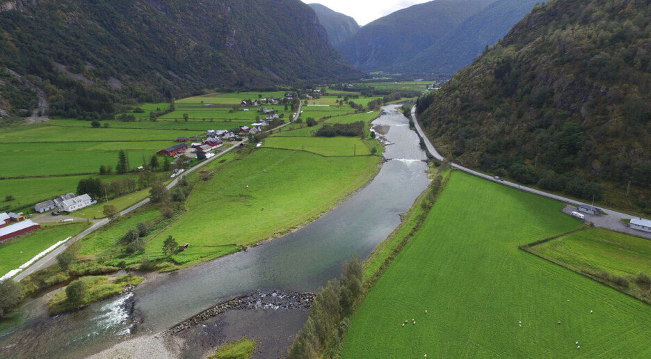 Hva skal til for å få mer laks i Lærdalselva igjen?