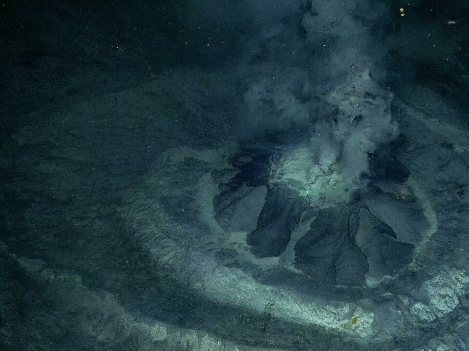 Dyphavet: Forskere fant muddervulkaner og samlet inn hundrevis av små kryp