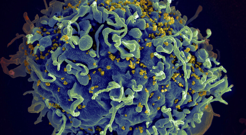 Medisin gir langtidsbeskyttelse mot hivsmitte blant kvinner