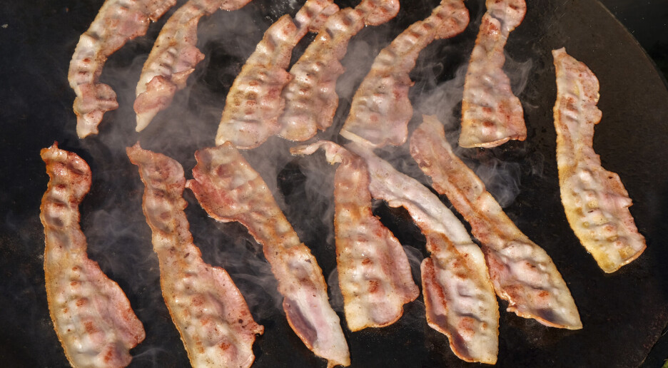 Kjøttallergikere kan spise genmodifisert bacon