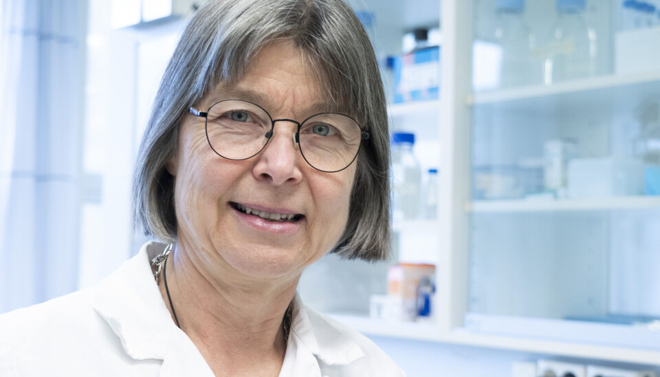 Anne Spurkland er professor i anatomi og forsker i molekylær immunologi ved Universitetet i Oslo. Hun mener det er dårlig bruk av penger å kjøpe multivitaminer.