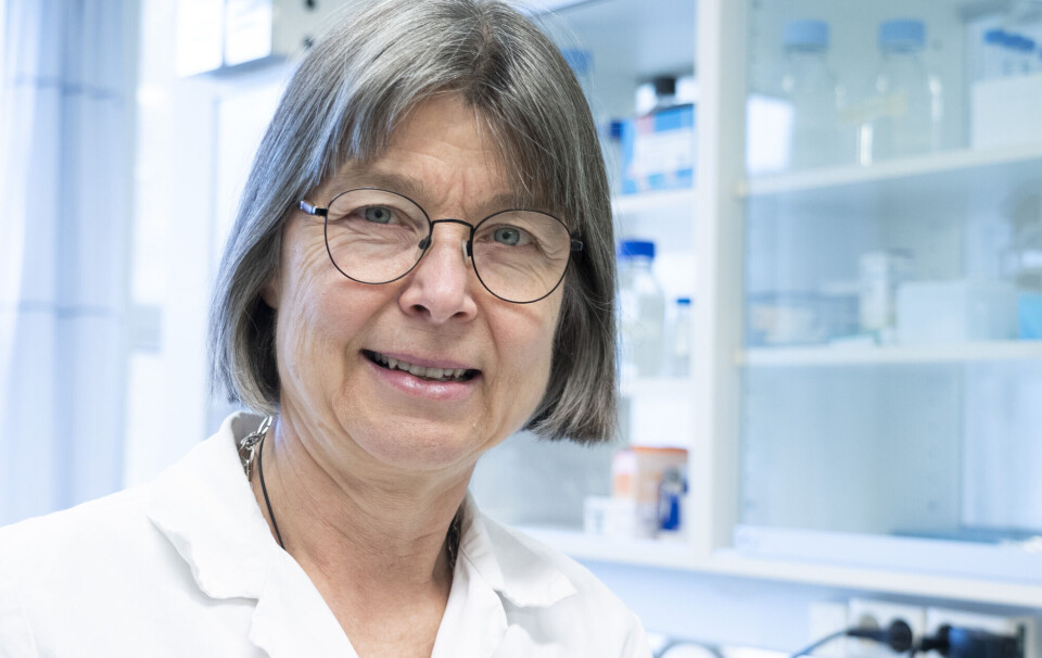 – Absolutt verdt en Nobelpris
