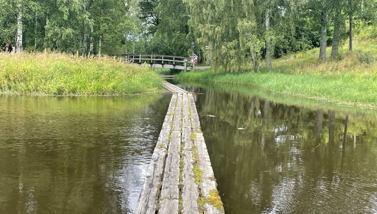 blogg.forskning.no
