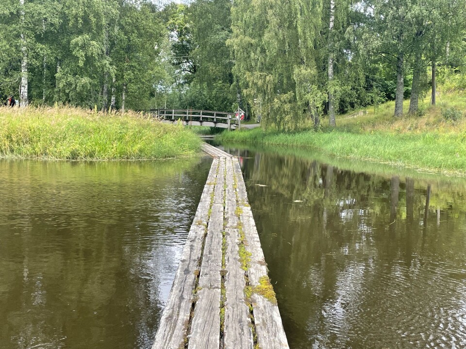 En varm og frodig sommer i 2024, her ved Fetsund Lenser. (Bilde: Terje Wahl).