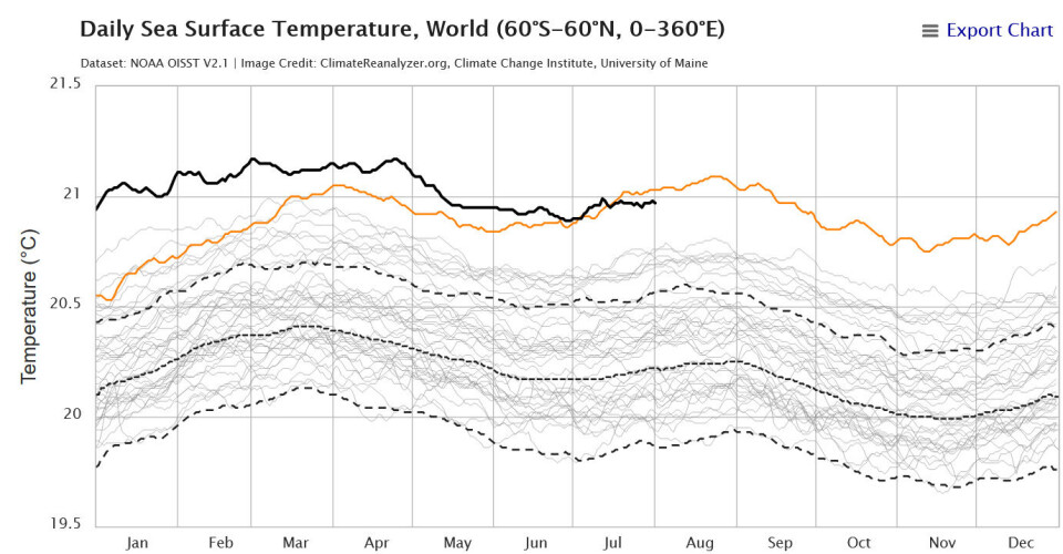 2024 klarer ikke lenger å matche 2023 (oransje) når det gjelder temperaturen i havoverflaten. (Bilde: Climate Reanalyzer, Univ. of Maine).
