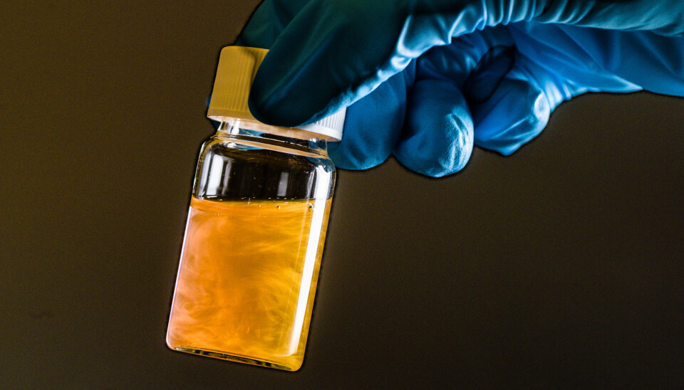 Slik ser gulltrådene ut når de er blandet med vann. De er 1.000 ganger så tynne som et hårstrå. En hånd med hanske på holder en liten flaske opp mot lyset. Det glinser i tråder av gull fra den flytende, gullfargede væsken inni flasken.