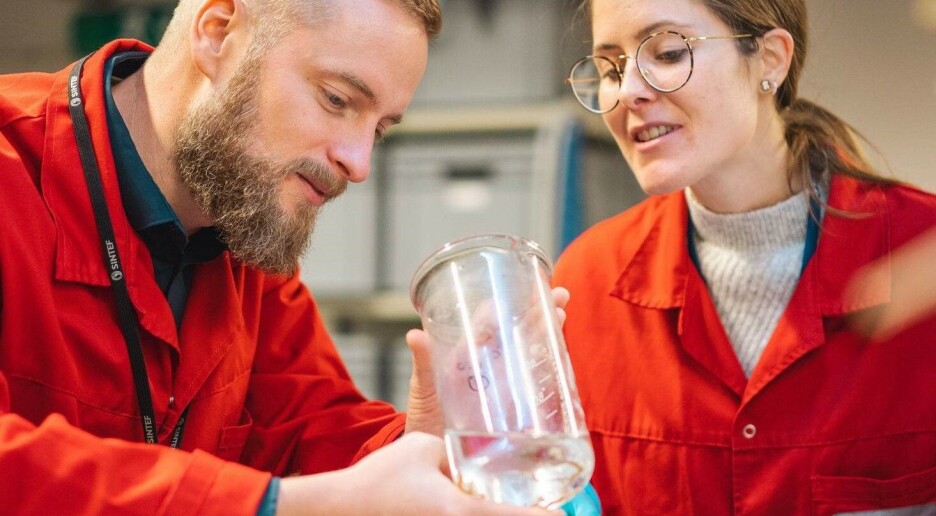 Er det trygt å mate dyr med fôr fra samme art?