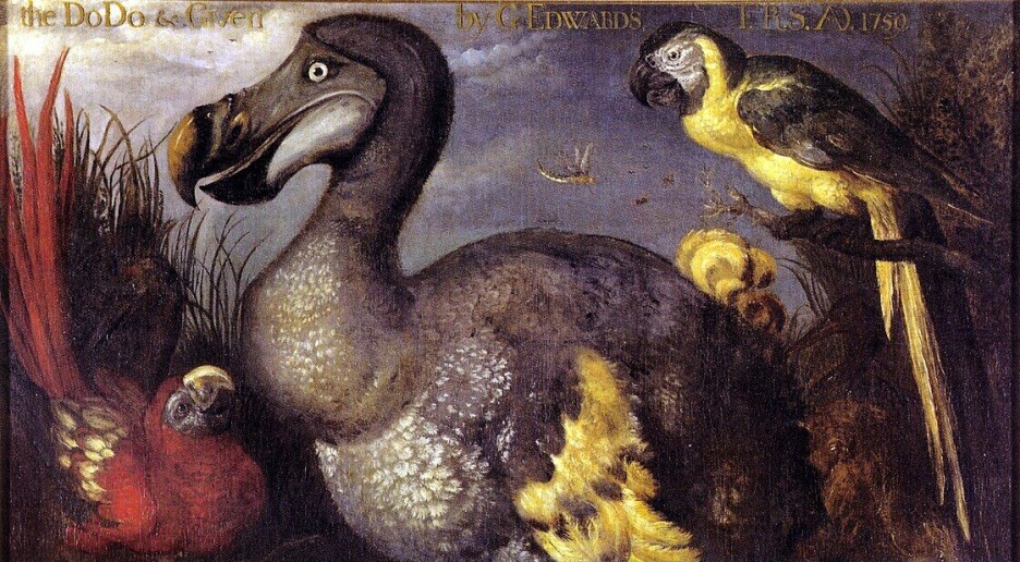 – Dronten var ikke fet, treg og dømt til utryddelse