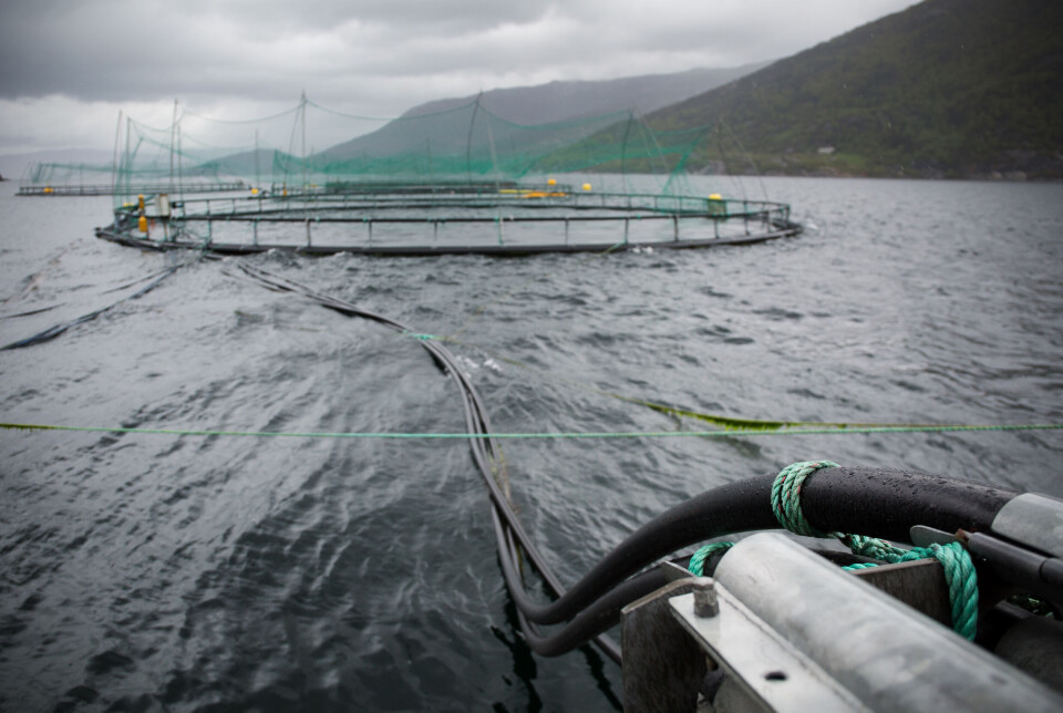 Påvirkning fra akvakultur er en av grunnene til at økosystemene i de to områdene på Vestlandet har større risiko for å bli påvirket negativt av menneskelig aktivitet enn områdene i nord.