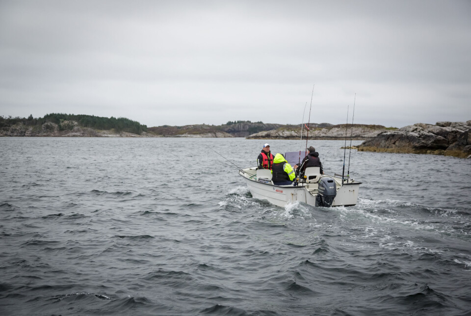 Turisme og rekreasjon er den andre hovedgrunnen til at økosystemene på Vestlandet har større risiko for å bli påvirket negativt av menneskelig aktivitet enn områdene i nord.
