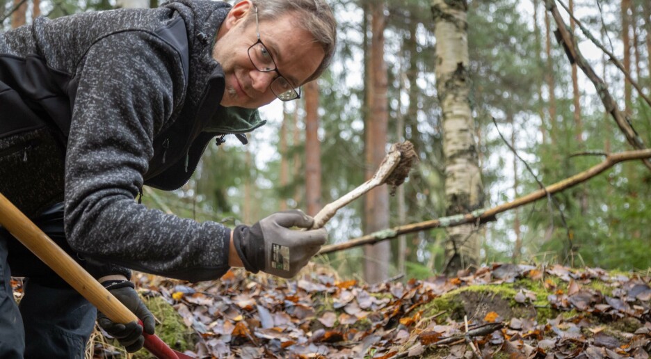 Nå har forskere oppdaget bakteriene som kan spise plast