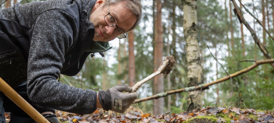 Nå har forskere oppdaget bakteriene som kan spise plast