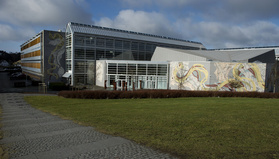 Forskere ved Universitetet i Stavanger er blant dem som nå får EU-midler.