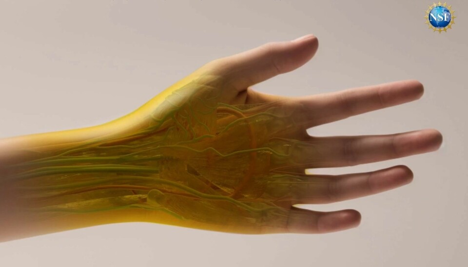 Slik tror forskerne det kan se ut dersom de klarer å gjøre menneskehud gjennomsiktig. Men det har de ikke prøvd enda. Bildet viser en utstrakt hånd. Håndleddet og håndflaten er gulfarget og gjennomsiktig, slik at blodårer og sener synes igjennom.