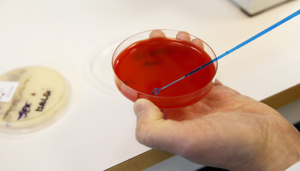 Forbruket av antibiotika er nå tilbake til noenlunde samme nivå som før pandemien.