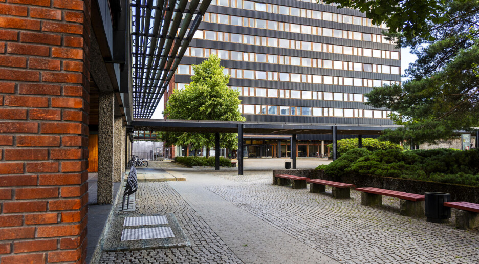 Nesten én av fire masterstudenter har barn ved studiestart