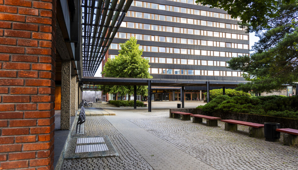 Andelen norske studenter med barn er usedvanlig høy.