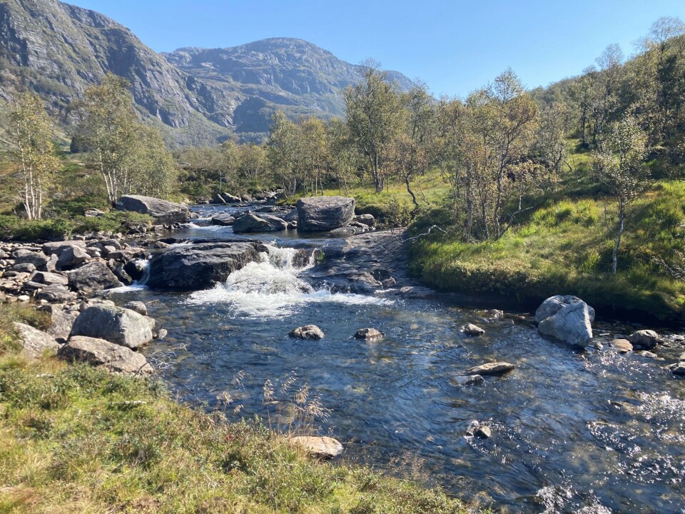 Vikedalsvassdraget i Vindafjord har en av de lengste dataseriene på vannkjemi og ferskvannsorganismer i Norge. Vassdraget undersøkes årlig som et samarbeid mellom miljøinstituttene.