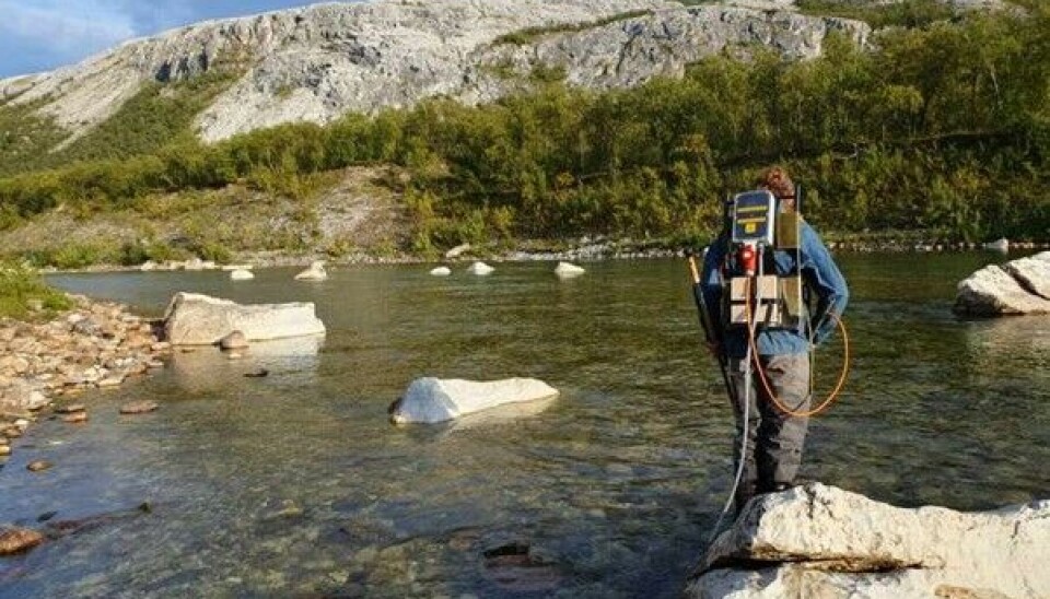 Håndholdt elfiske under gode forhold i Børselva, Finnmark. Apparatet genererer et felt med elektrisitet i vannet som gjør at fisken ufrivillig svømmer mot anoden eller blir midlertidig «slått i svime». Her fanges i hovedsak laks- og ørretunger, som oppholder seg i hulrommet mellom elvesteinene.