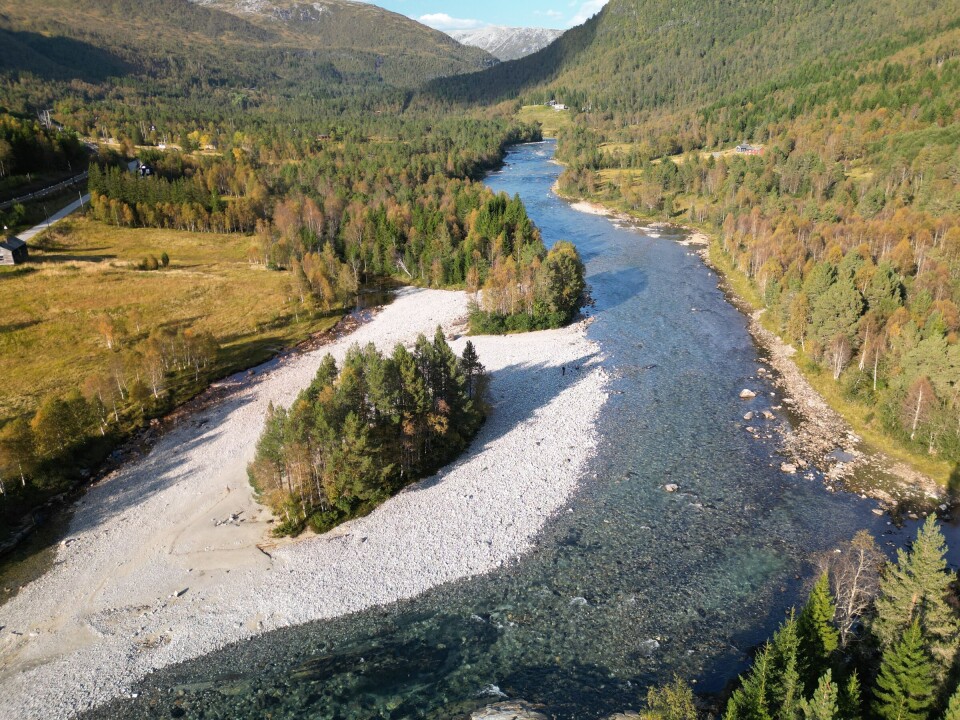 Raundalselva i Voss - en glassklar elv med en forholdsvis tynn bestand av ørret. Fiskestasjonen legges til innersvingen der det finnes en blanding av stabile blokker og mobile elvesteiner.