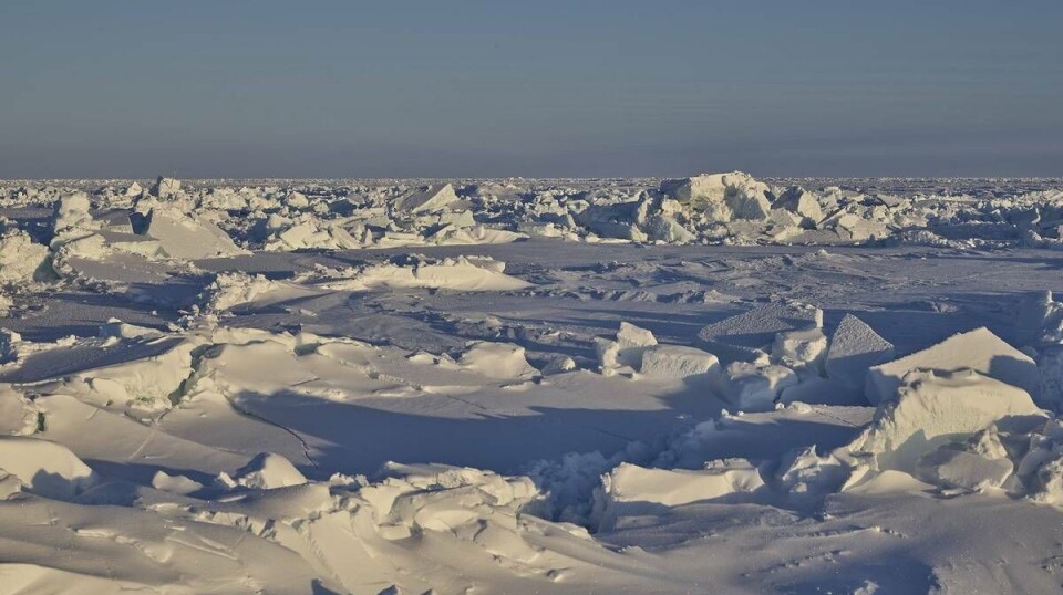 Når vårsolen titter frem på senvinteren, stenger is og snø grundig for sola og lar bare en ørliten mengde lys slippe ned i havet.