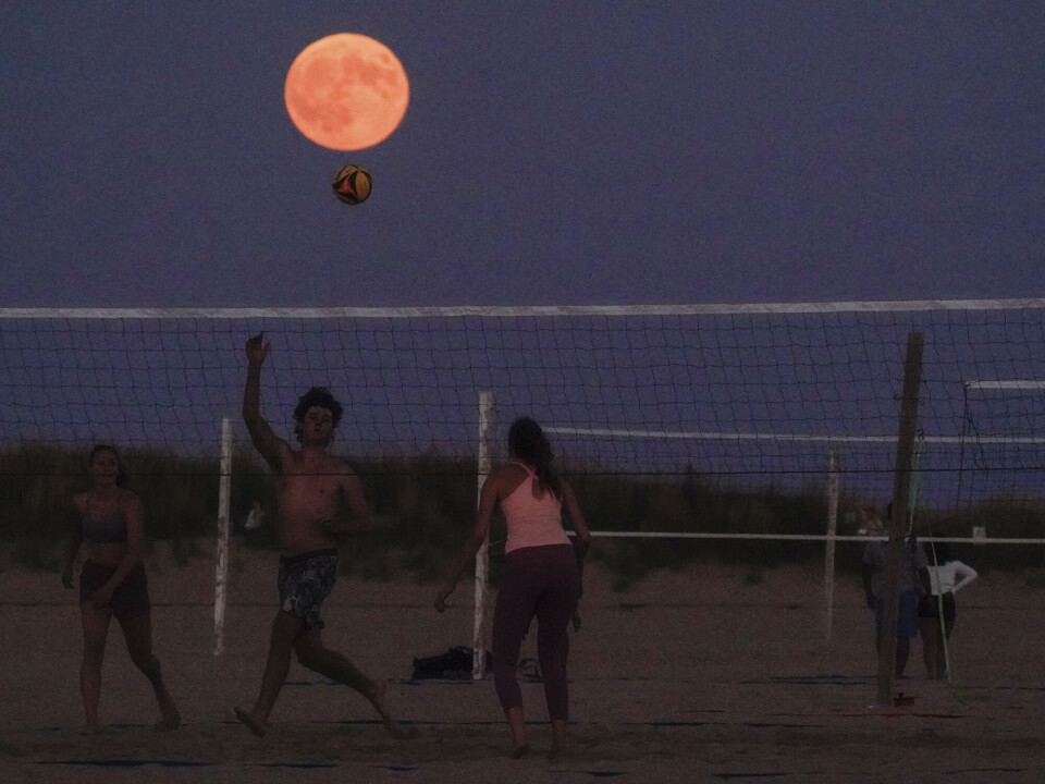 Den gresskarfargede supermånen stiger over stranden mens folk spiller volleyball ved kysten av Lake Michigan i Chicago tirsdag 17. september 2024.