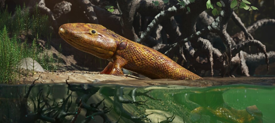 Huden, ryggraden og føttene dine stammer fra dyrene i fortiden