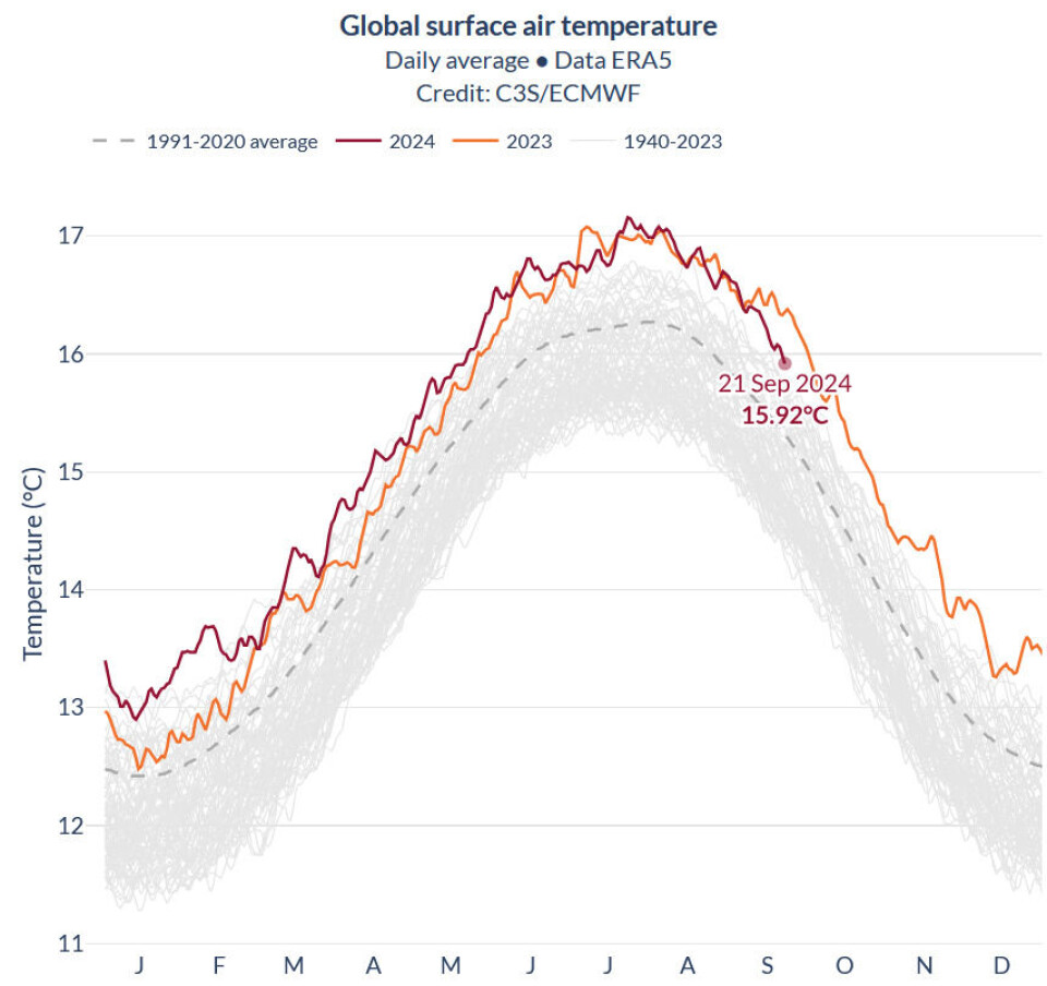Nå har global temperatur ved overflaten (rødt) begynt å falle i forhold til 2023 (oransje). Vil fjoråret klare å ta igjen hele forspranget innen årets slutt? (Bilde: Klimatjenesten i EUs Copernicus-program).