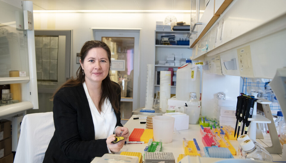 Kan man få long covid-symptomer av koronavaksinene? Ja, sier immunolog Elling Ulvestad. Vi kan ikke utelukke det, men vi kan heller ikke slå det fast, svarer vaksineforsker Gunnveig Grødeland. Kvinne med langt, mørkt hår, hvit T-skjorte og svart jakke sitter ved en benk full av laboratorieutstyr i rødt, gult, blått, grønt og hvitt.