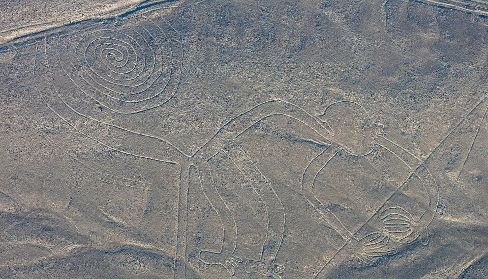 En diger apekatt sett fra lufta. Dette er en av de godt kjente Nazca-figurene.