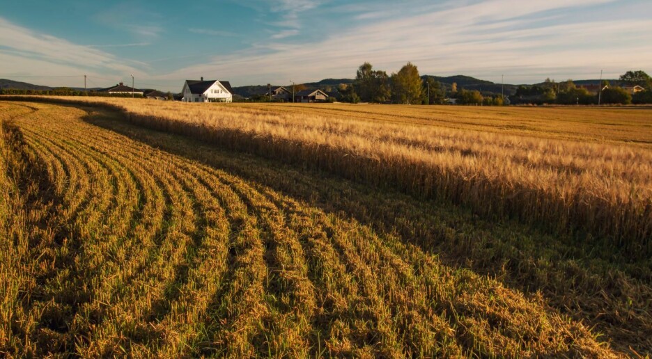 Norske forskere har oppdaget noe helt nytt om bakterier og klimagasser