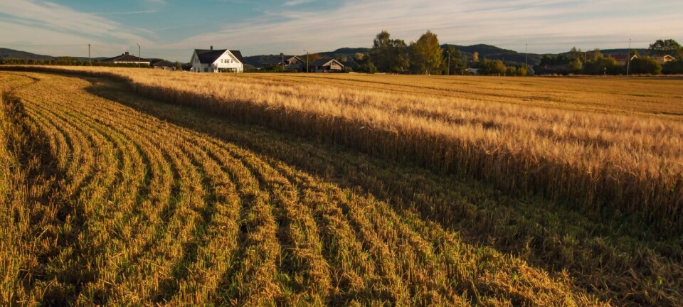Norske forskere har oppdaget noe helt nytt om bakterier og klimagasser