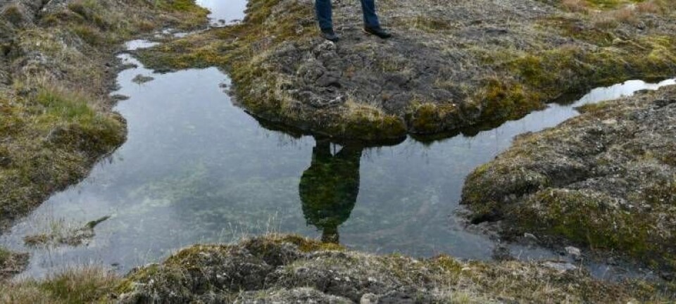 I fjor ble det satt rekord for tining av permafrosten på Svalbard. I år er den slått