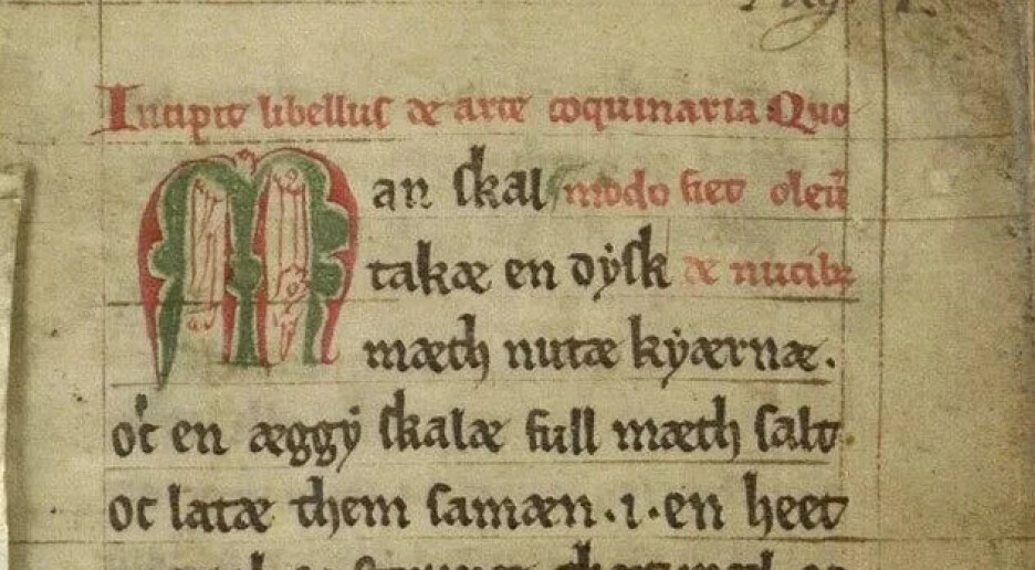 Hva er de eldste matoppskriftene vi vet om?