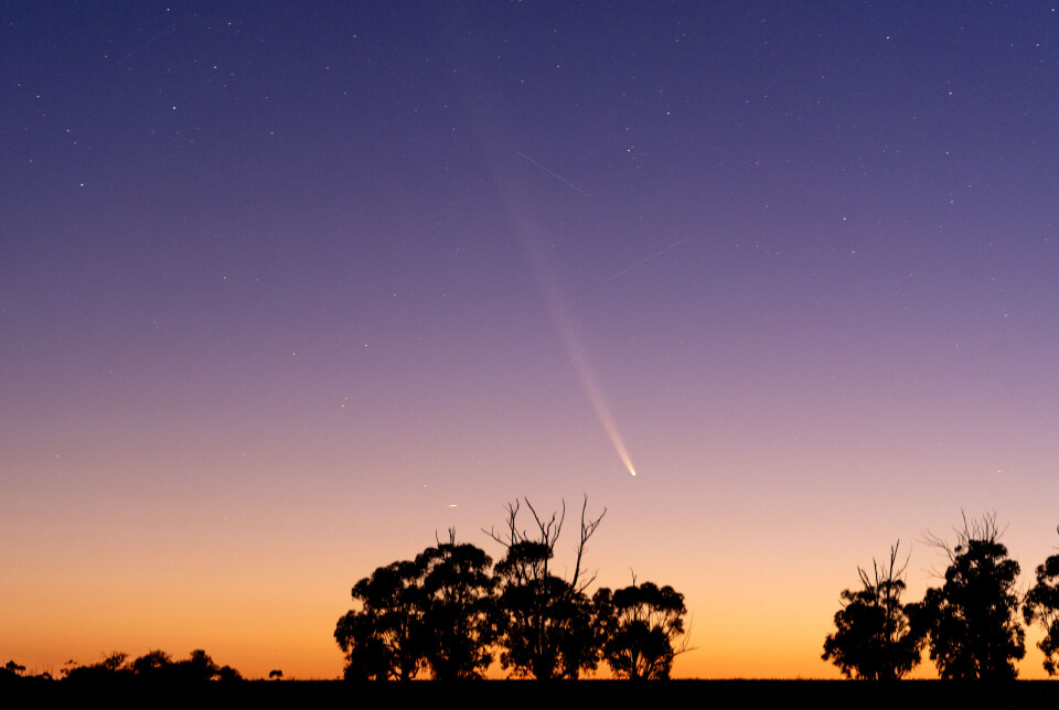 Kometen var synlig på den sørlige halvkule i starten av oktober, mens den blir synlig for oss fredag. Da går kometen ned en time og ett kvarter etter solnedgang. Her ser du den på himmelen over Victoria, Australia.