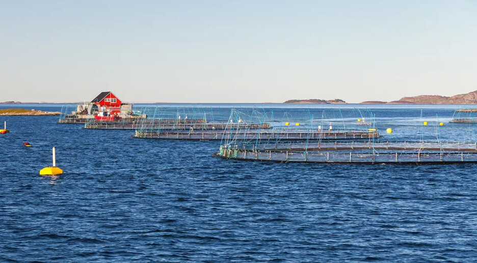 Ny modell gir eit betre bilete av vasstransporten i havet