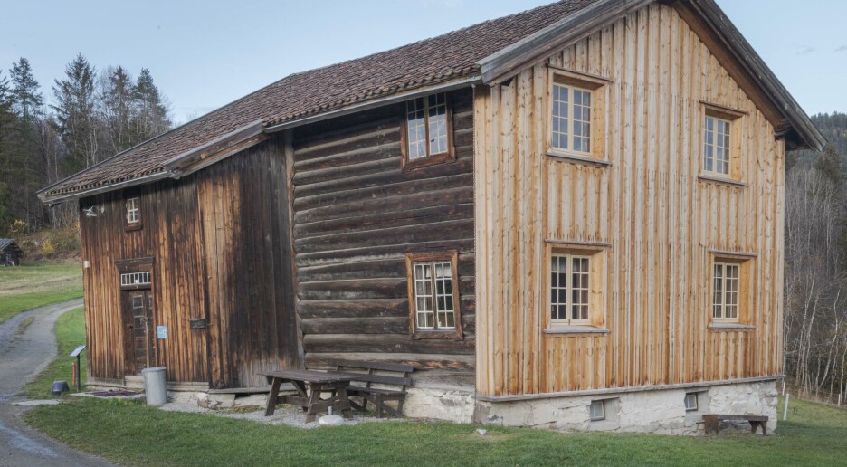 Hvordan kvitte seg med et utrydningstruet insekt som vil spise freda bygg?