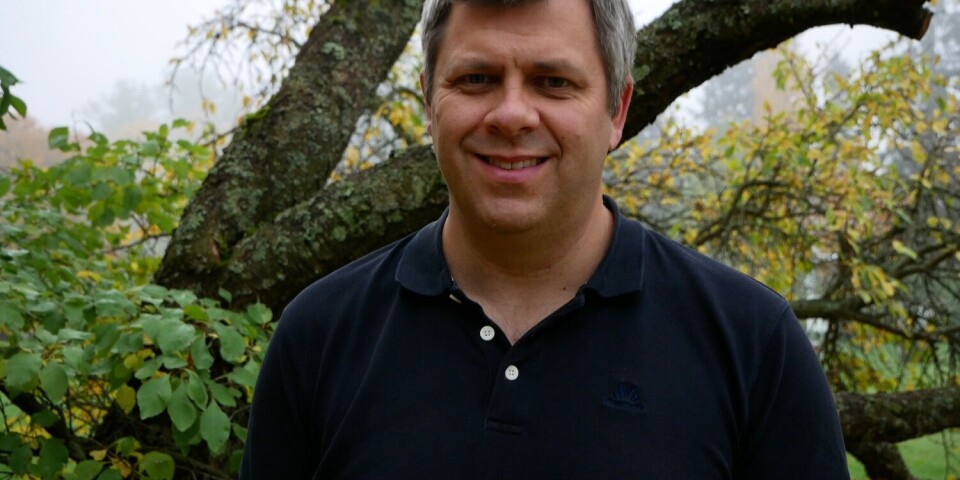 I høst traff «Helene» og «Milton» USA. Kan slike orkaner komme til Norge?