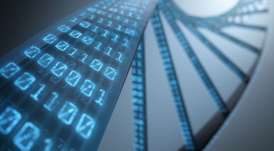 Nå blir det enklere å kode for forskere som jobber med biologiske data