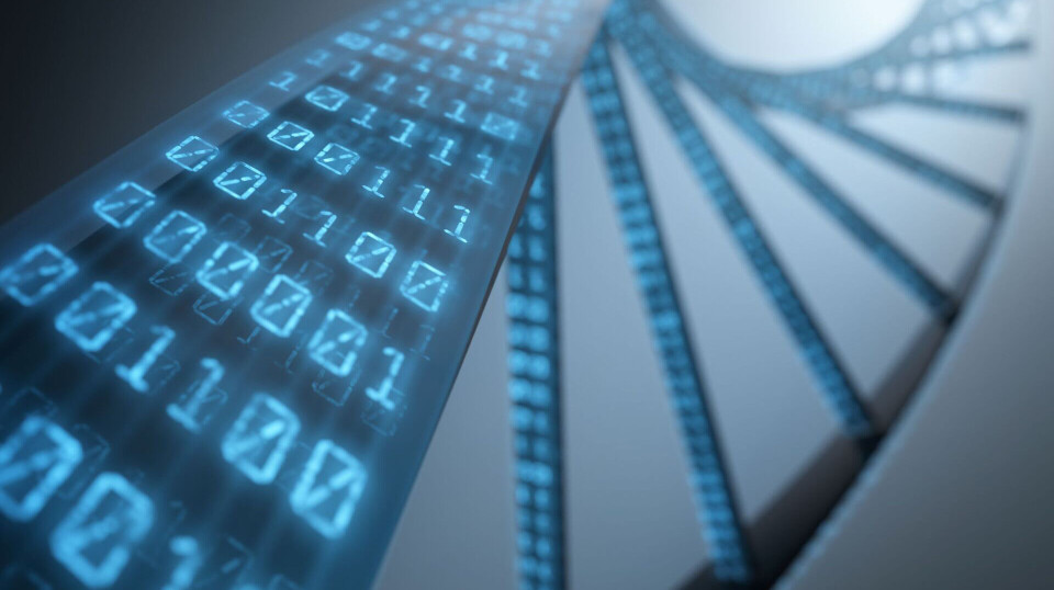 DNA-sekvenser har bydd på utfordringer for programmerere. Illustrasjon programmering