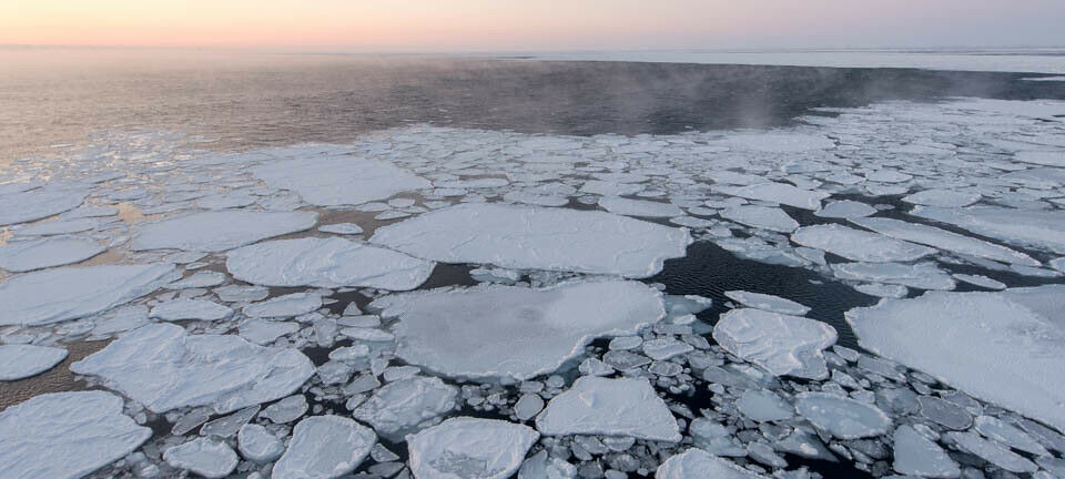 Sju grader varmere. Slik blir det nord i Barentshavet i 2050, ifølge studie