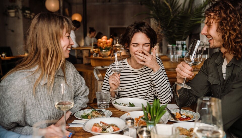Du deler mer enn interesser og hemmeligheter med vennen dine. Også noe av tarmfloraen deler du med dine nærmeste.