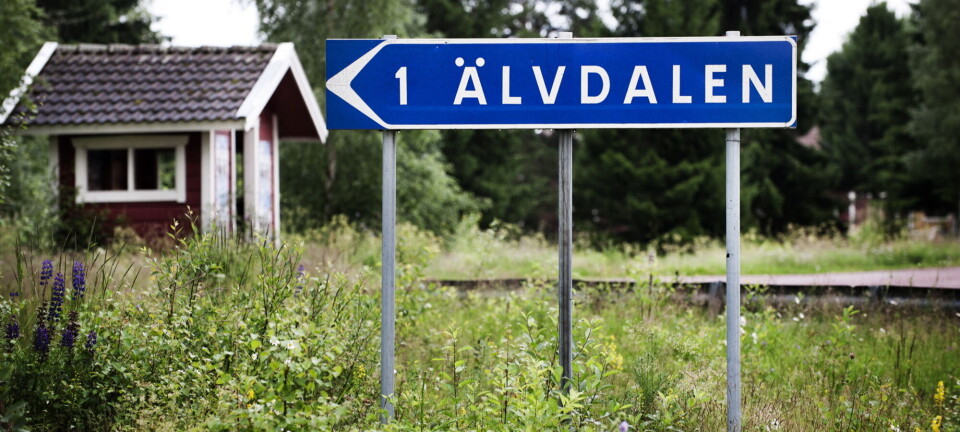 Gammelt språk dypt i Sveriges skoger, vikingslaver og sukker